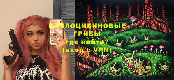 МДПВ Абинск